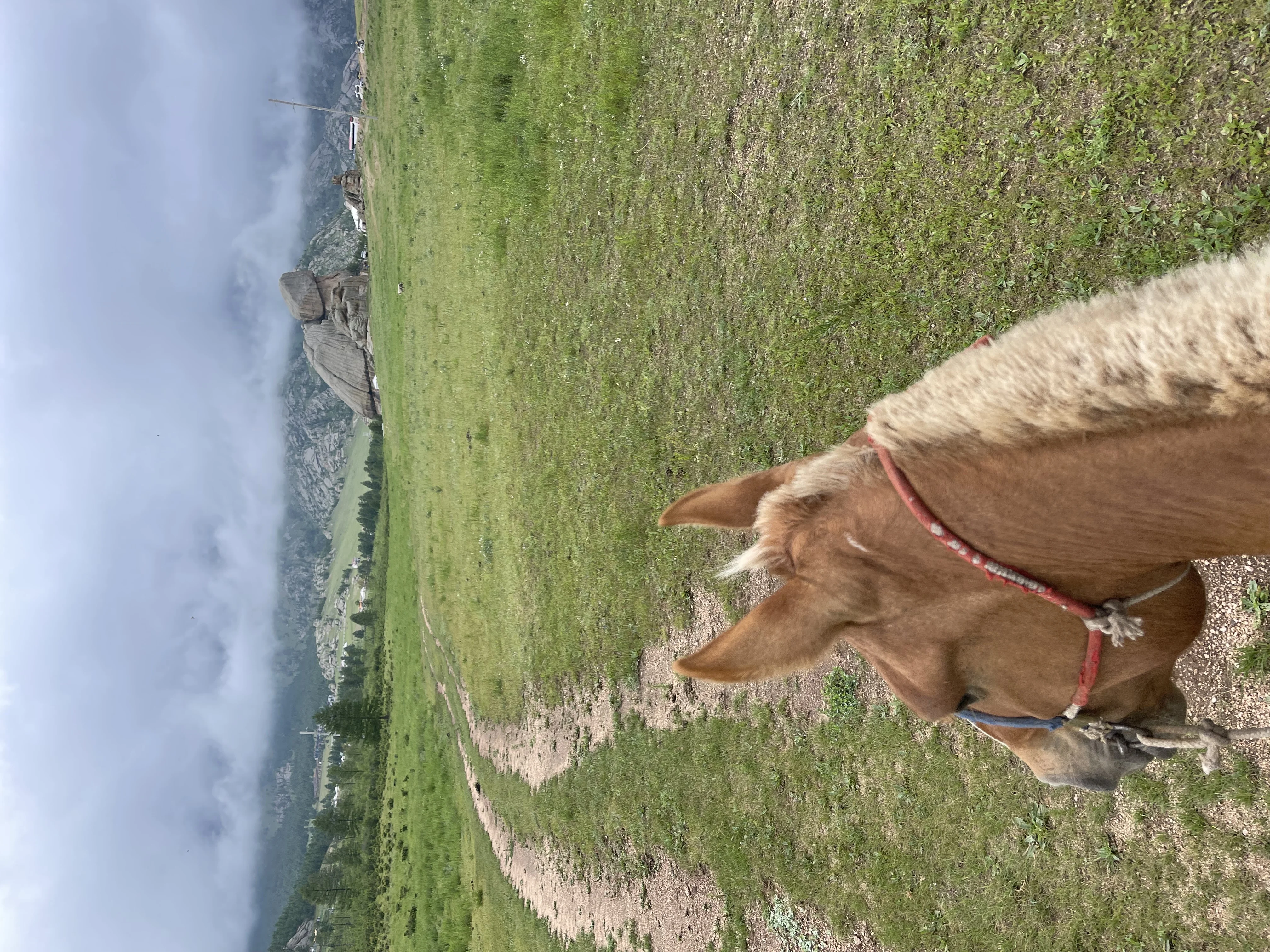 モンゴルの風景