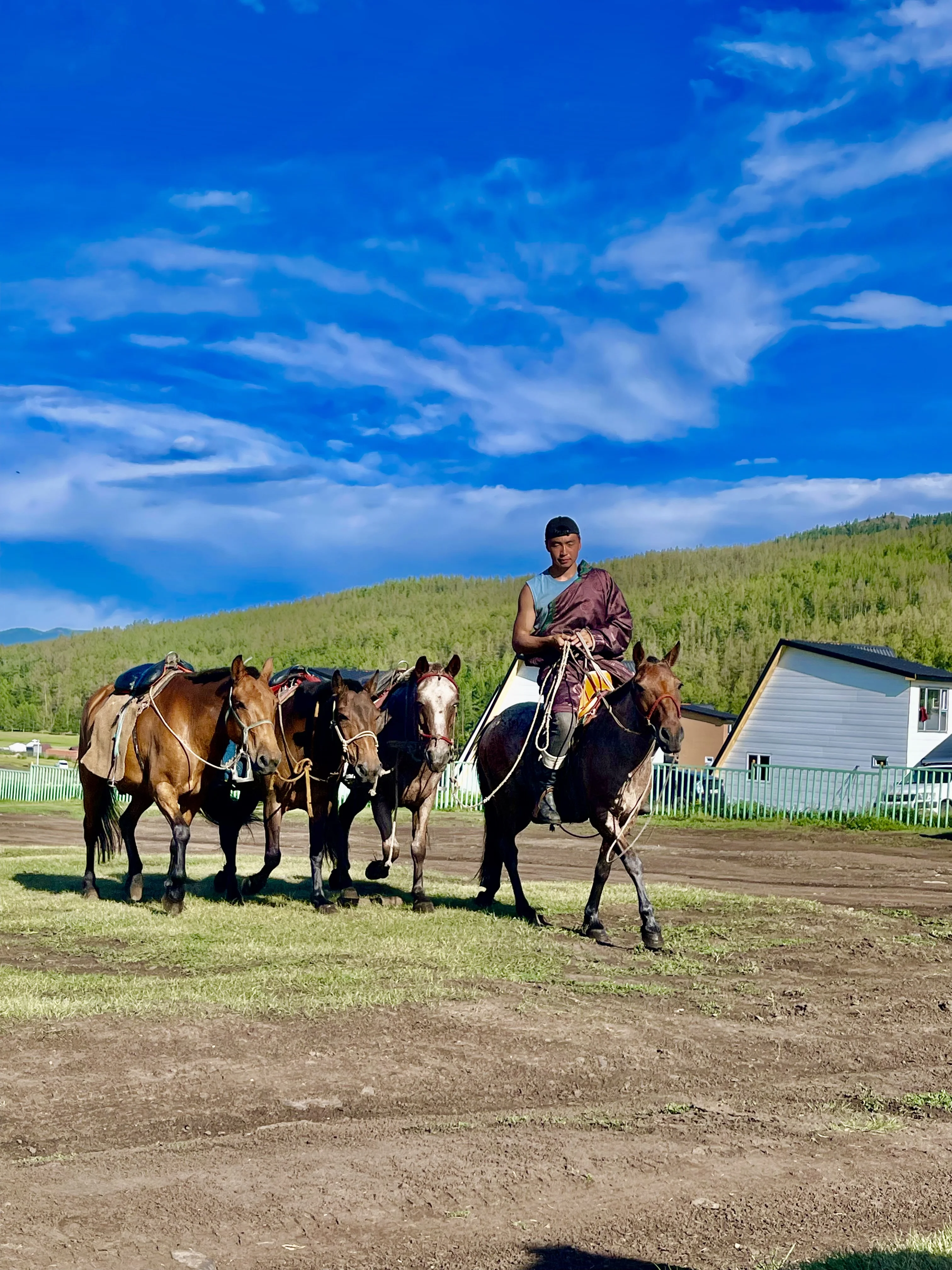モンゴルの文化