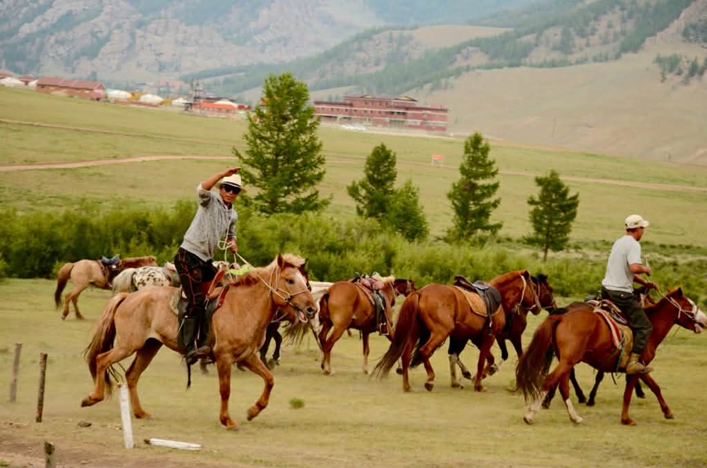 テレルジ国立公園1泊2日